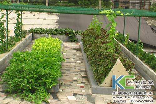 無土栽培，無土栽培技術(shù)，無土栽培設備