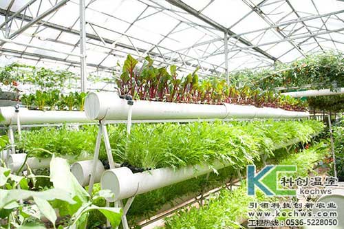 無(wú)土栽培，無(wú)土栽培技術(shù)，無(wú)土栽培設(shè)備