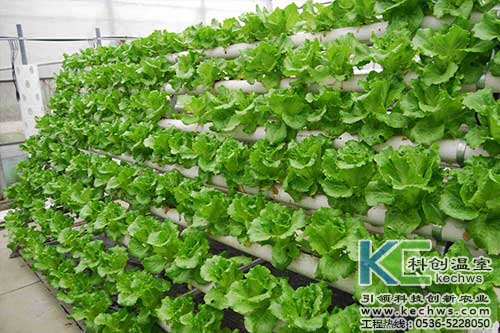 無土栽培,無土栽培技術(shù),無土栽培設(shè)備