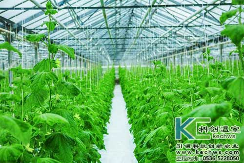 無土栽培，無土栽培技術(shù)，無土栽培設(shè)備