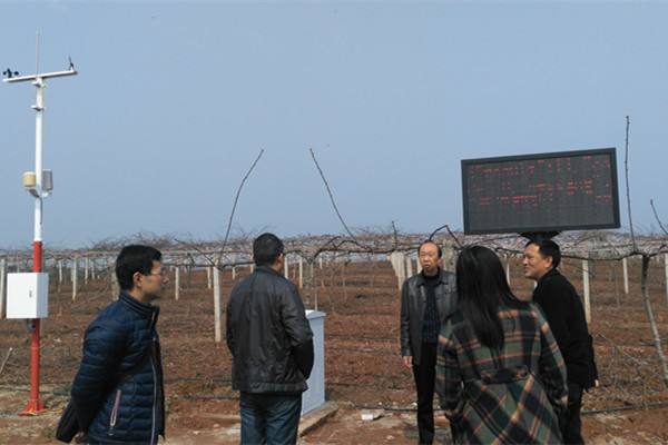 無土栽培，無土栽培技術，無土栽培設備