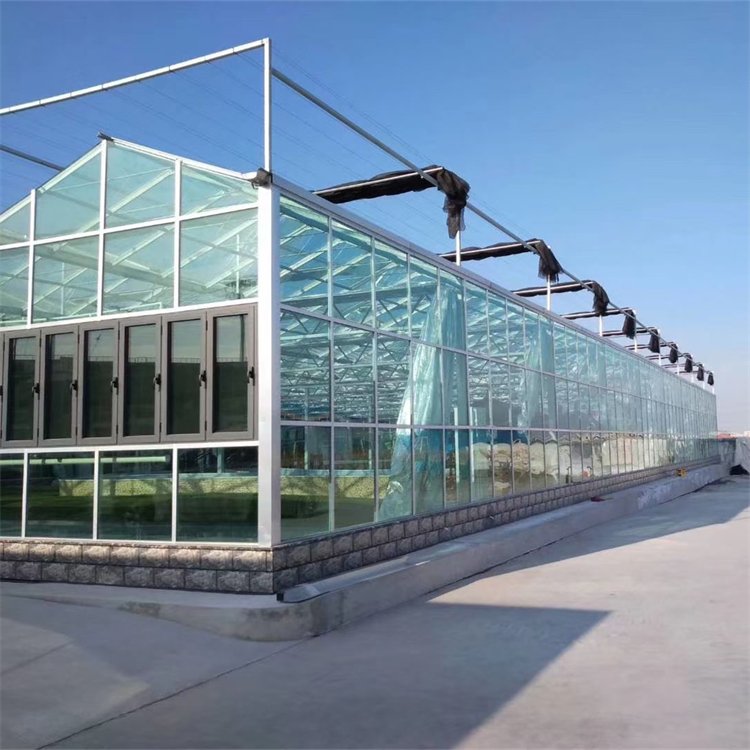 無土栽培，無土栽培技術，無土栽培設備