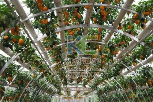 無土栽培，無土栽培技術，無土栽培設備