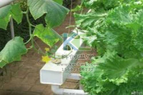 無土栽培，無土栽培技術(shù)，無土栽培設(shè)備