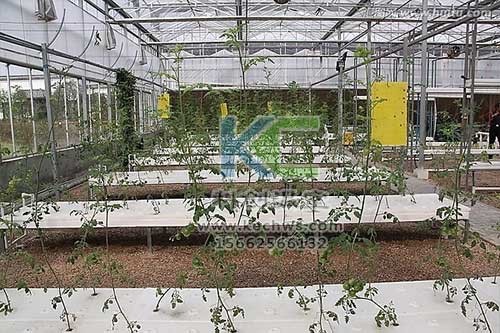 無土栽培，無土栽培技術，無土栽培設備
