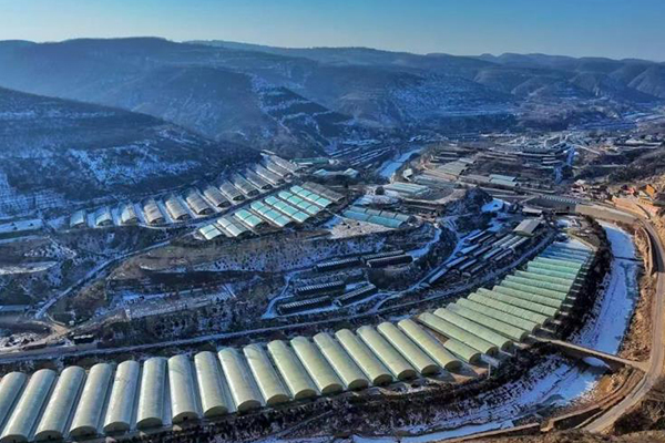 無土栽培，無土栽培技術，無土栽培設備